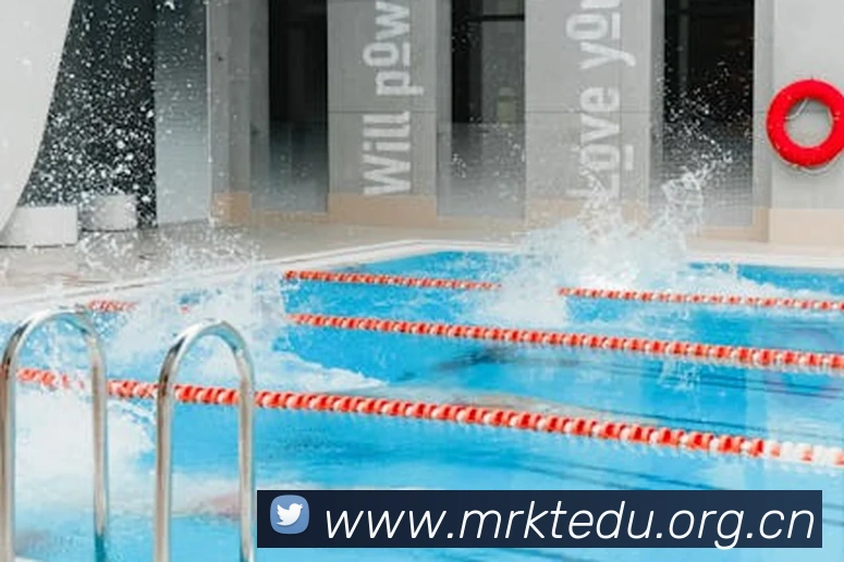 半岛官网网页版入口平台生态图