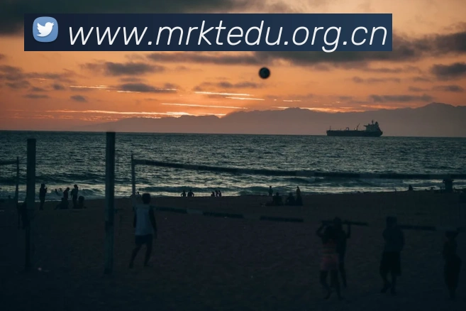 半岛官网网页版入口APP 封面图